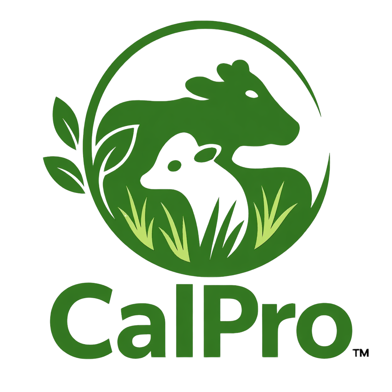 CalPro Nutrition | High-Energy Rumen-Stable Feed Supplements Malaysia